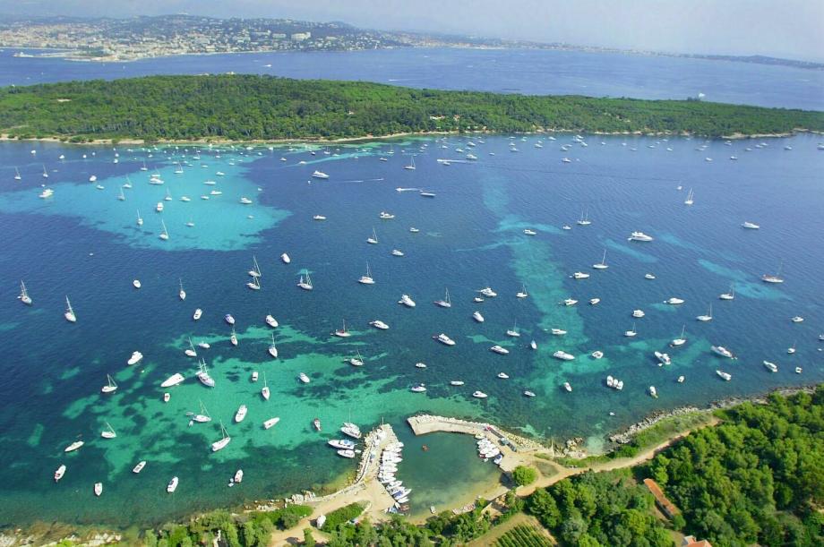 Partez en expérience de Catamaran à Cannes et aux iles