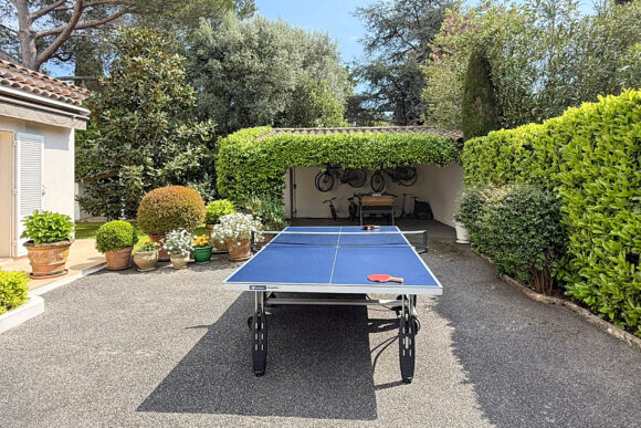 Table de ping-pong